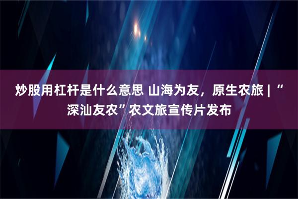 炒股用杠杆是什么意思 山海为友，原生农旅 | “深汕友农”农文旅宣传片发布