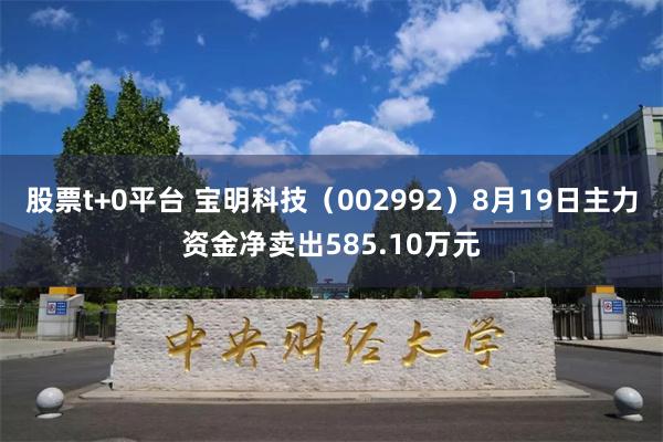 股票t+0平台 宝明科技（002992）8月19日主力资金净卖出585.10万元