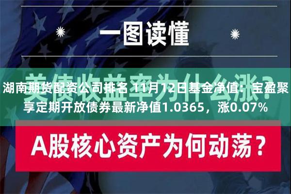 湖南期货配资公司排名 11月12日基金净值：宝盈聚享定期开放债券最新净值1.0365，涨0.07%