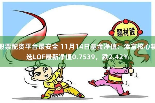 股票配资平台最安全 11月14日基金净值：添富核心精选LOF最新净值0.7539，跌2.42%