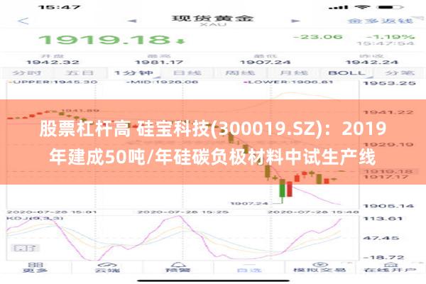 股票杠杆高 硅宝科技(300019.SZ)：2019年建成50吨/年硅碳负极材料中试生产线
