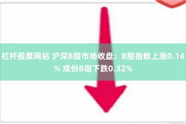 杠杆股票网站 沪深B股市场收盘：B股指数上涨0.14% 成份B指下跌0.32%